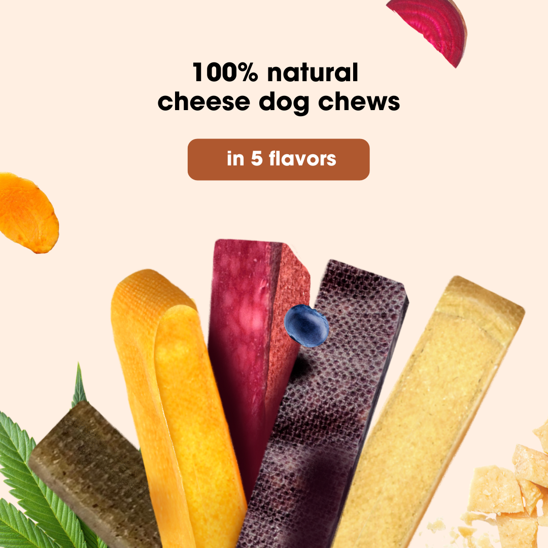 KauDas Cheese Stick Turmeric
