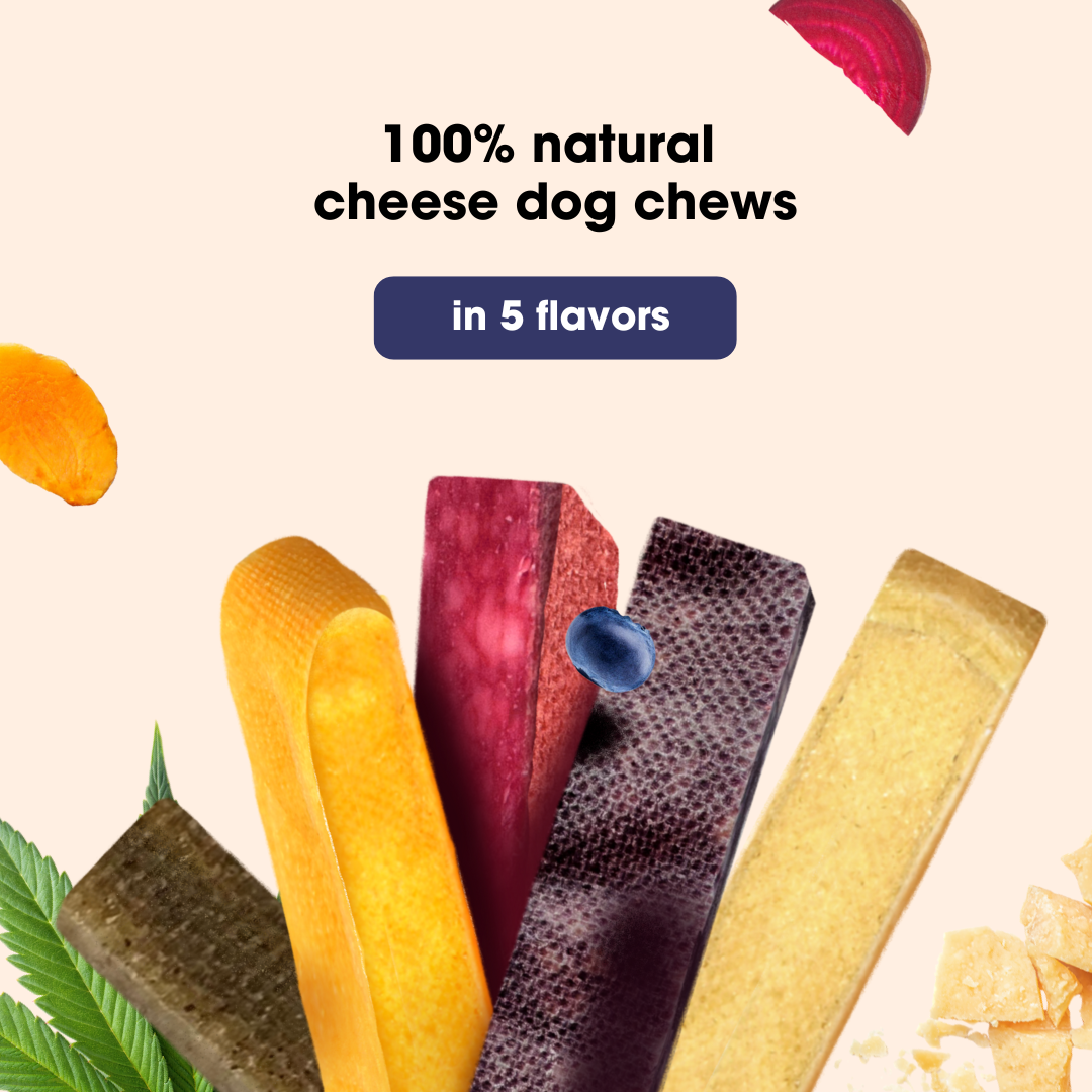 KauDas Cheese Stick Blueberry