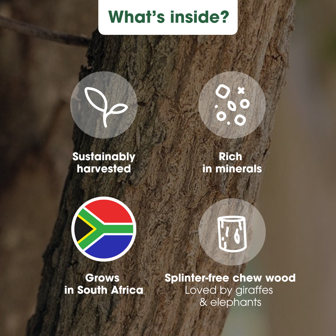 Sekelbos Wood Chew "South Africa"