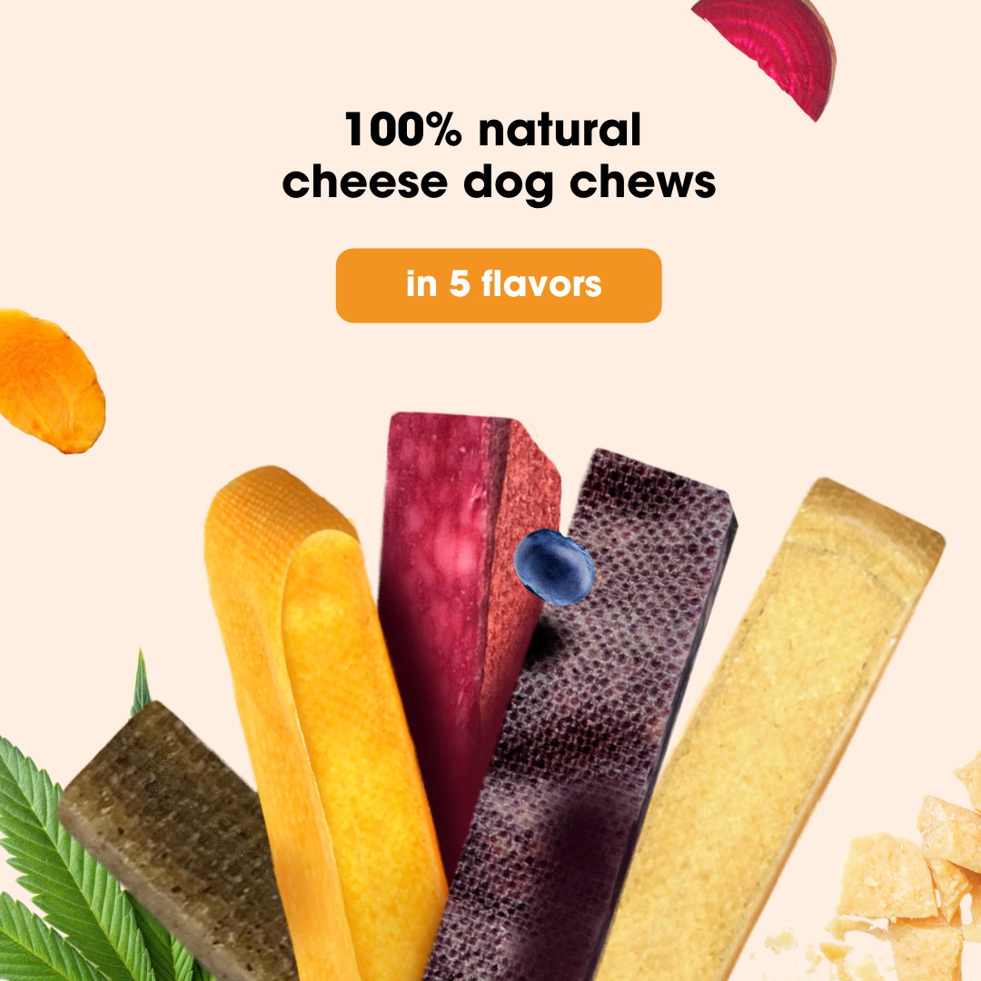 KauDas Cheese Sticks Original